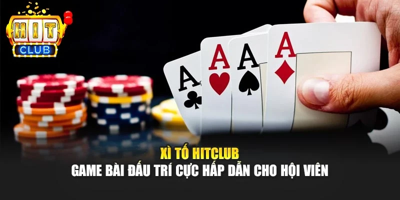 Xì Tố HITCLUB – Game Bài Đấu Trí Cực Hấp Dẫn Cho Hội Viên